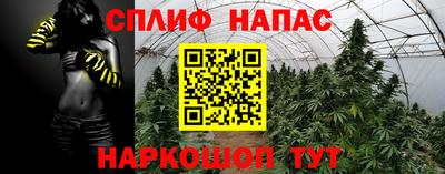 хмурый Заводоуковск